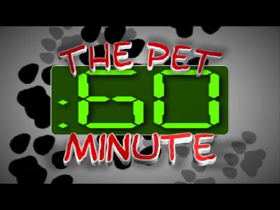 Pet Minute